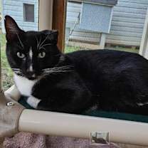 Thumbnail photo of WONKY #3