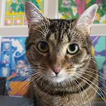 Thumbnail photo of Maxine #1