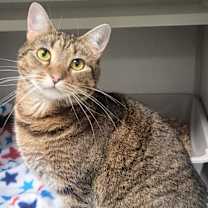 Thumbnail photo of Maxine #2
