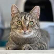 Thumbnail photo of Rosie #2