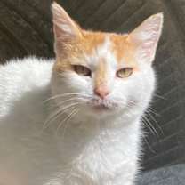 Thumbnail photo of Penelope #1