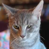 Thumbnail photo of Truffle - JM #3