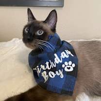 Thumbnail photo of Ravi #1