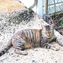 Thumbnail photo of Hayley #2