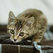 Thumbnail photo of Jurian #2