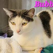 Thumbnail photo of Bubblez #2