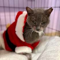 Thumbnail photo of Honey Boo #2