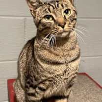 Thumbnail photo of Jacob (LE) #1