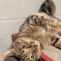 Thumbnail photo of Jacob (LE) #2