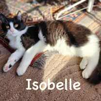 Thumbnail photo of Isobelle #3