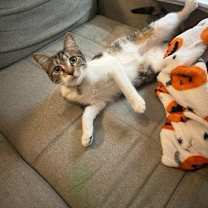 Thumbnail photo of Evie #1