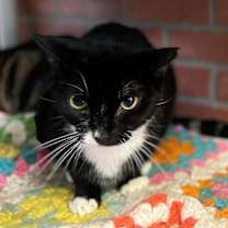 Thumbnail photo of Mimi #4