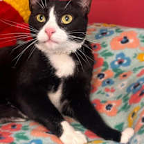 Thumbnail photo of Eduarda #3