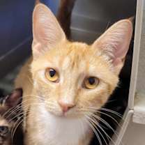 Thumbnail photo of April #1