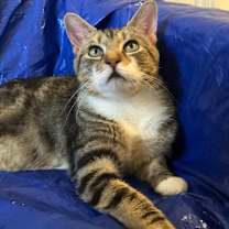 Thumbnail photo of MC (meet me in foster care!) #3