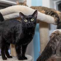 Thumbnail photo of Jolene #1
