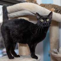 Thumbnail photo of Jolene #2