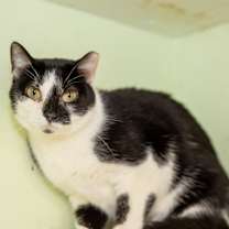 Thumbnail photo of Rosemary #1