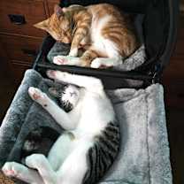 Thumbnail photo of Marty #3