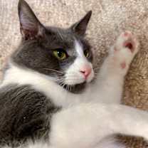 Thumbnail photo of TOLERANT TRIP #2