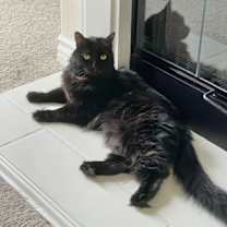 Thumbnail photo of Jade courtesy post #1