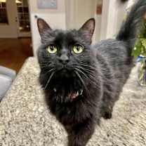 Thumbnail photo of Jade courtesy post #2