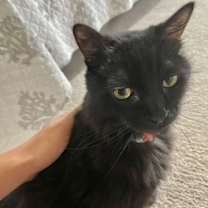 Thumbnail photo of Jade courtesy post #3