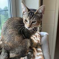 Thumbnail photo of Francesca #2