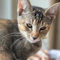 Thumbnail photo of Francesca #3