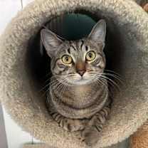 Thumbnail photo of Luxa #1