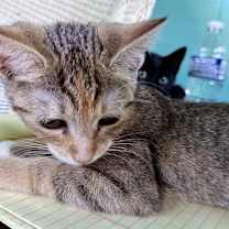 Thumbnail photo of Ethel #2