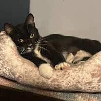 Thumbnail photo of Sabrina #2