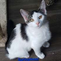 Thumbnail photo of Springtime #2