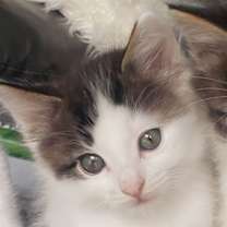 Thumbnail photo of Springtime #4