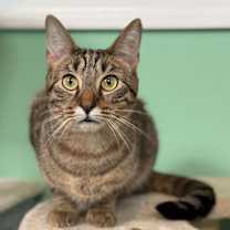 Thumbnail photo of Mott #2