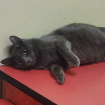 Thumbnail photo of SKY #3