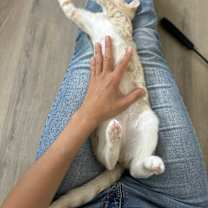 Thumbnail photo of Aioli #3