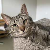 Thumbnail photo of Ezra #1