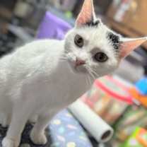 Thumbnail photo of Regina #2