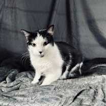 Thumbnail photo of Doodle #2