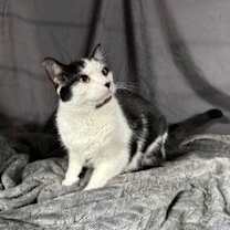 Thumbnail photo of Doodle #3