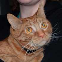 Thumbnail photo of Colby #4