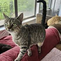 Thumbnail photo of Liz #2