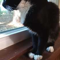 Thumbnail photo of Nicky - Putting on the Ritz #3