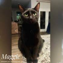 Thumbnail photo of MAGGIE #2