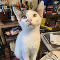 Thumbnail photo of Carly Pierce #3