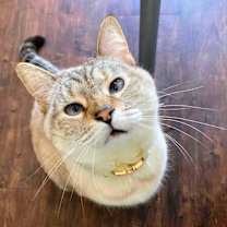 Thumbnail photo of Macy #1