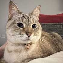 Thumbnail photo of Macy #2