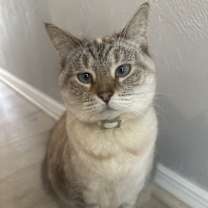 Thumbnail photo of Macy #3