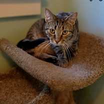 Thumbnail photo of Sleepy #2